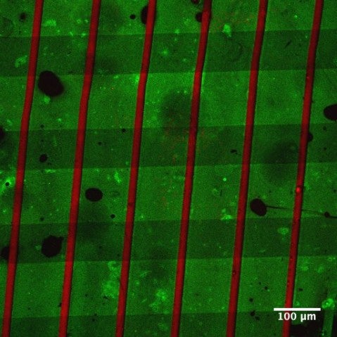 Oct26_device3_print before cells_10X_enlarged(RGB)