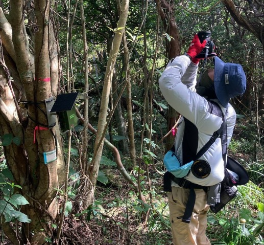 ESI field team member taking canopy photograph