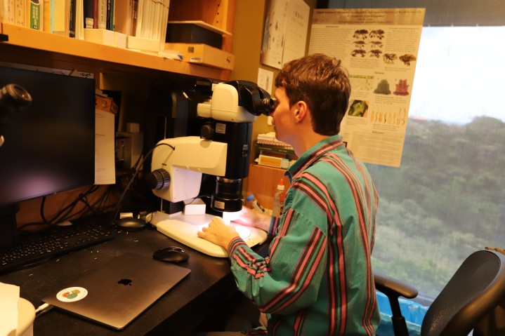 ESI member in lab examaning specimen through microscope