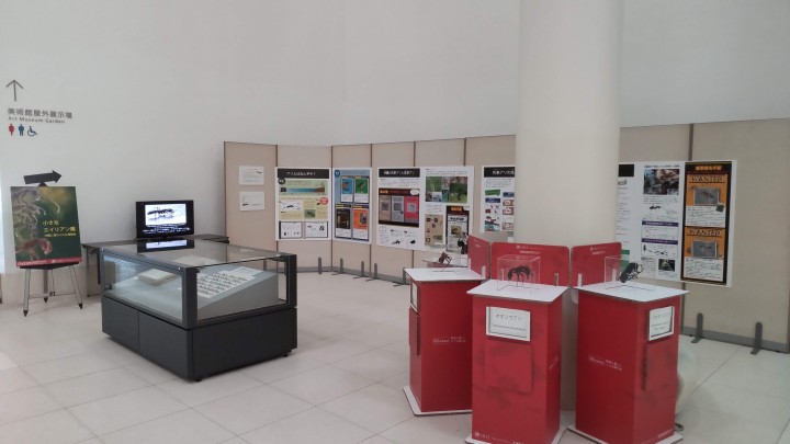 ESI display at Okinawa Museaum