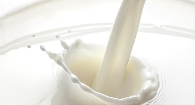 その他 MILK Japan's first yeast-based non-animal milk “LIKE MILK” - Martner Japan