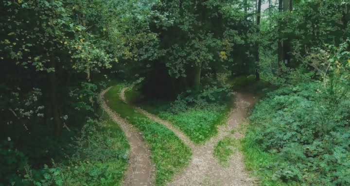 ECSU_Wayshaping_VectorArt