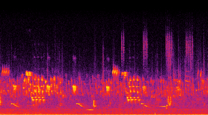 Acoustic graph from Yanbaru forest recording