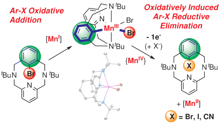 MnTOC_revised