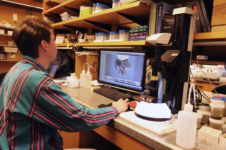 ESI team member imaging specimen with z-stacking micro photography