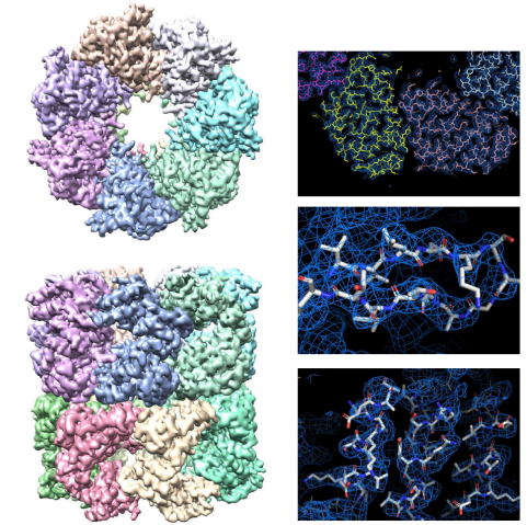 Cryo EM reconstruction and atomic model
