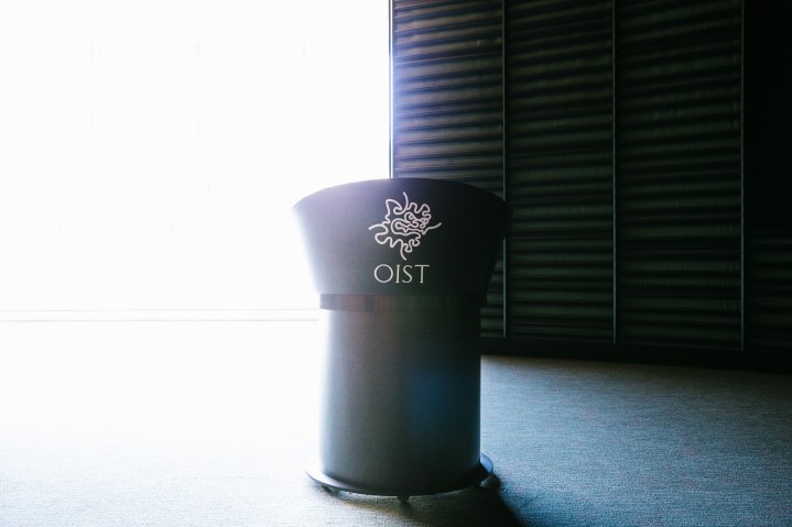 Auditorium (493 seats)