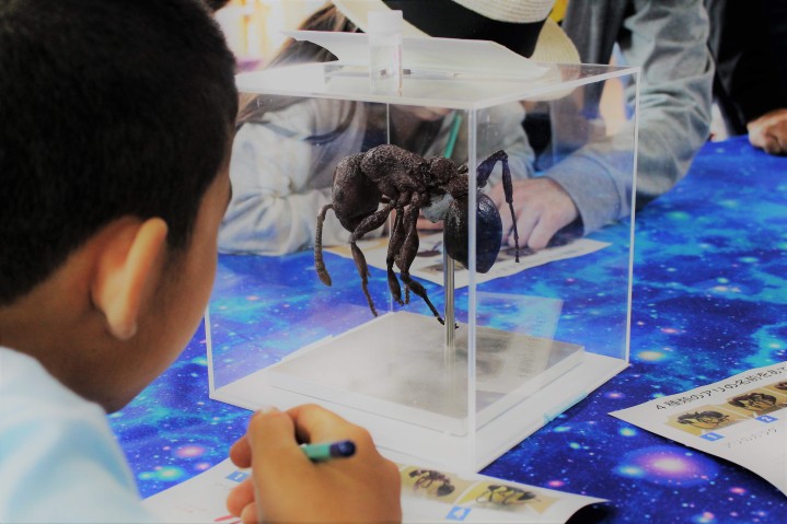 Education outreach program