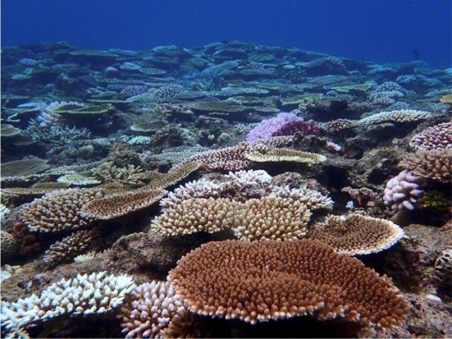 provostoffice_suzuki_shohei_fund