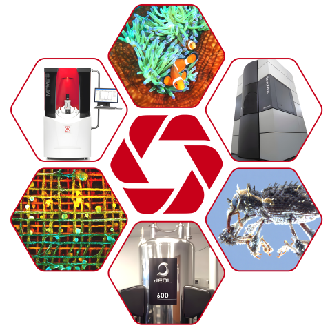 OIST core facilities logo