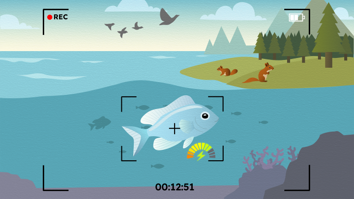 Video DBA header TEST