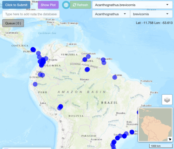 shiny web app to explore output from species distribution model for ants