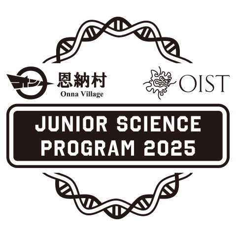 JSP 2025 Logo