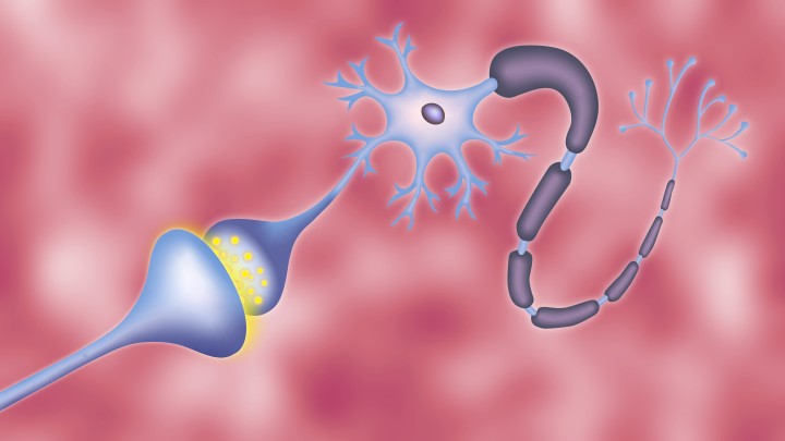 背景（黒、青、白）に、神経伝達物質（黄色）を含む2つの脳細胞のシナプスを表現したイラスト