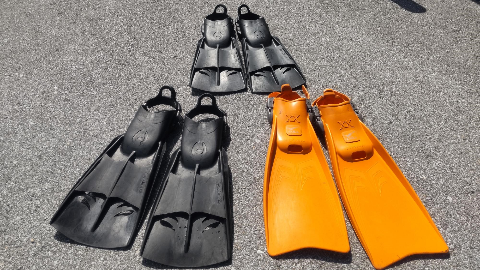 fins of various colours