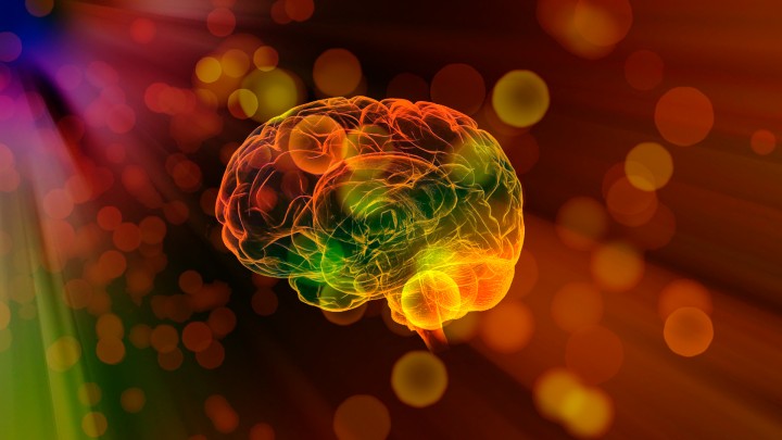 Header Image for the Press Release "OIST and Araya announce new optical neural image analysis tool OptiNiSt"