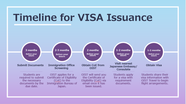 SAS_timeline for visa issuance 2025