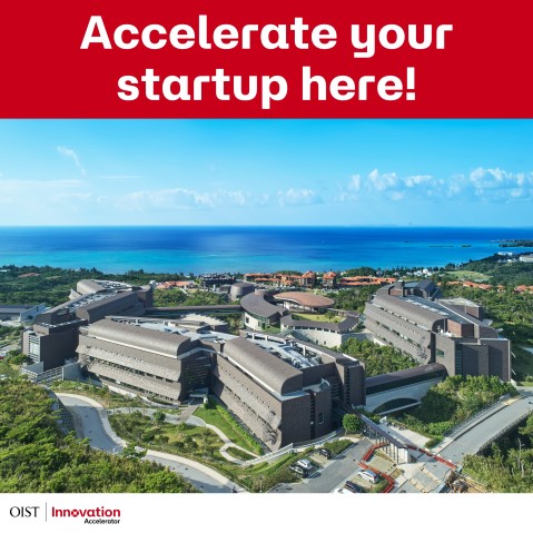 The campus with the sea in the background and the words, 'Accelerator your startup here!'
