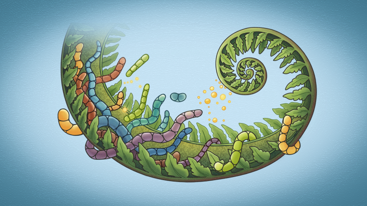 A green fern leaf is wrapped by multicolored bacteria chains on a blue background