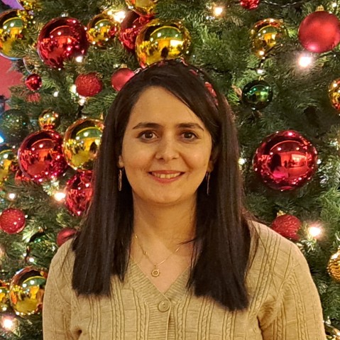 Photo of Elaheh Seifollahi