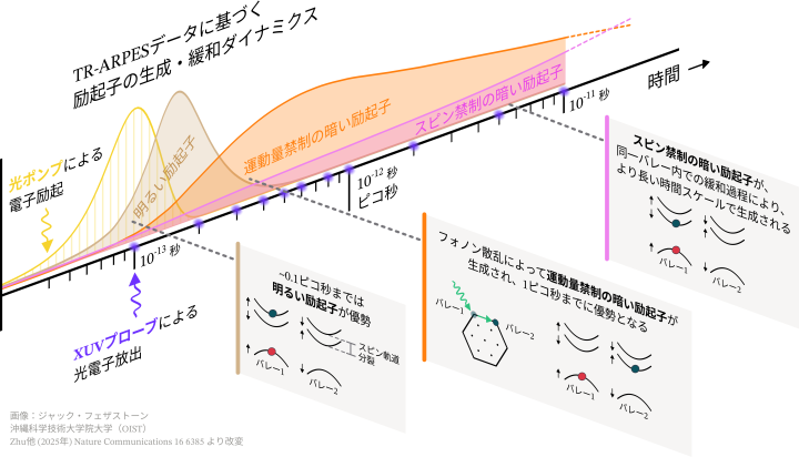 光励起した直後のフェムト秒からピコ秒時間スケールにおける明るい励起子から暗い励起子へと移り変わる様子を示す3Dタイムライン。挿入図は電子状態の変化によって異なる励起子が生成される過程を説明している。
