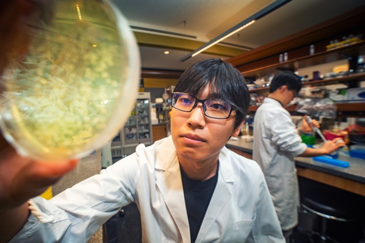 a researcher observing sample