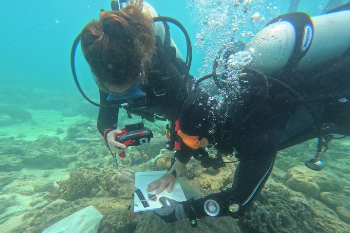 two divers underwarter 