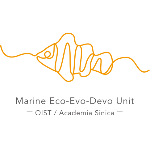 logomark of Marine Eco-Evo-Devo Unit, OIST