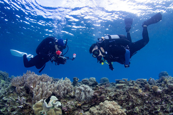 Two divers diving underwater in clear blue water
