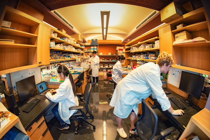 Researchers in white coat working in a lab