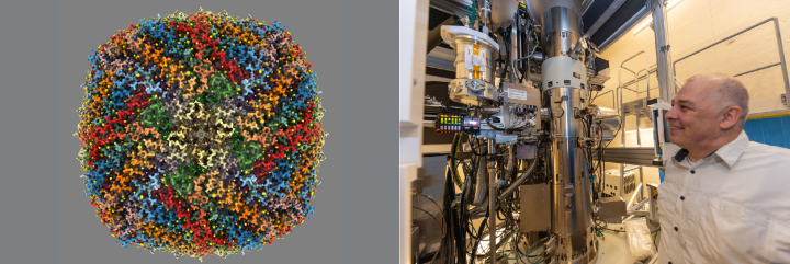 Jpeaks_article_Cryoimage