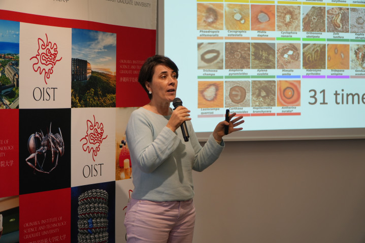 OIST Kids Lecture ‘The Evolution of the Butterfly’s Eyespot’