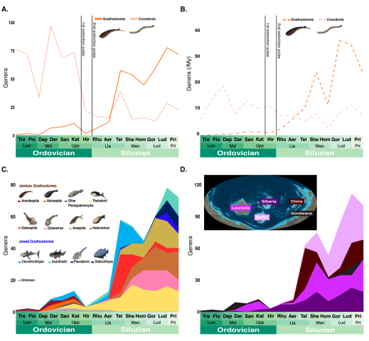 A series of four graphs plotting the number of genera over time, measured in geological ages, showing an abrupt fall in jawless and rise in jawed genera following LOME. The graphs feature insets of Ordovician geography and illustrations of ancient marine life.