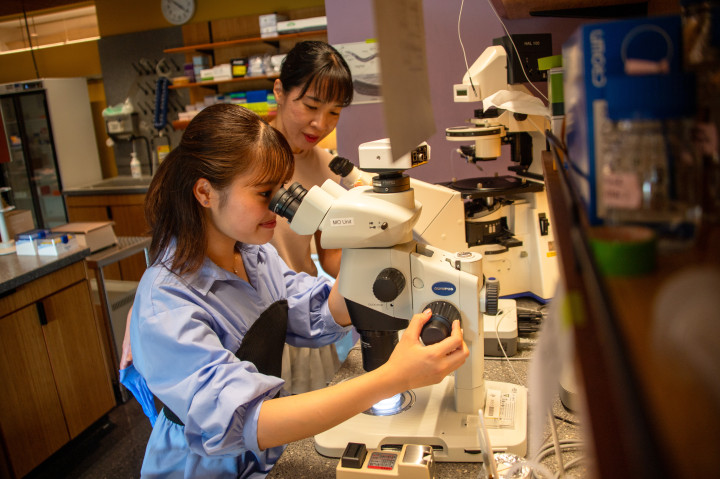 Centrosome Dynamics and Evolution Lab