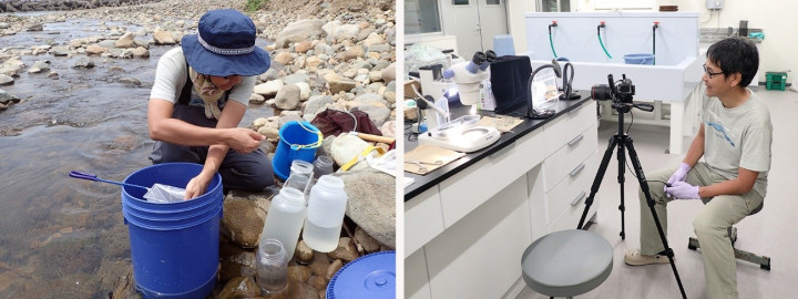 Two photographs side-by-side, the left showing a researcher collecting water, the other showing the same researcher in the lab with a camera setup.