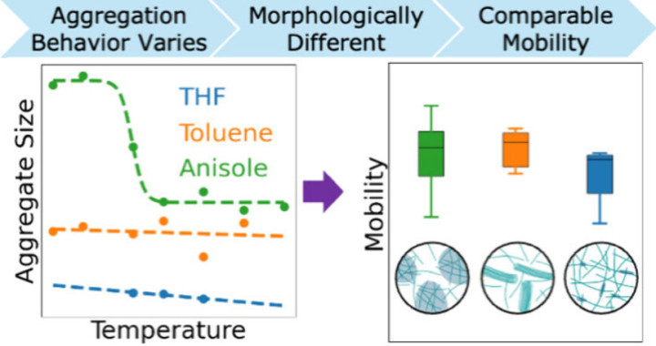 TOC for 10.1021/acspolymersau.5c00155