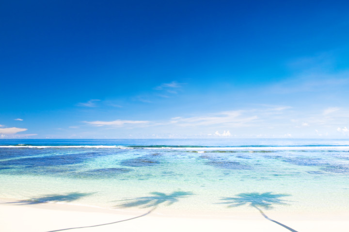 Relocation Support Section