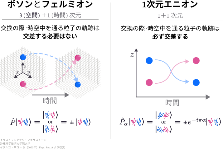 交換操作の際、ボソン／フェルミオンと1次元エニオンがどのように異なるかを示す2種類のイラスト。ボソンとフェルミオンは3次元空間に描かれ、時間方向に沿った軌跡が交差しない。一方、1次元エニオンは互いの軌跡が交差する様子が描かれている。