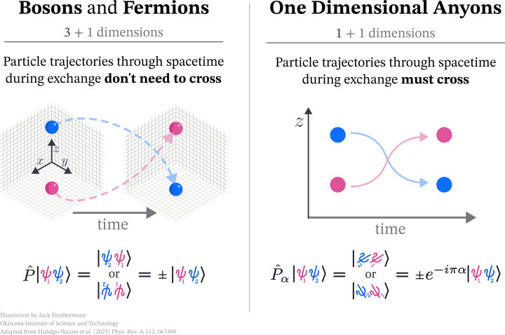Two infographic images, showing how bosons/fermions differ from one-dimensional anyons during an exchange. The boson/fermions are seen in 3D, showing how their path through time never crosses. The 1D anyons, however, do cross over one another.