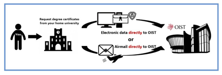 degree verification workflow image