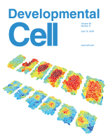 onu_Mustafa Sami_image1_2025