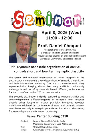 Dynamic nanoscale organization of AMPAR control short and long term synaptic plasticity