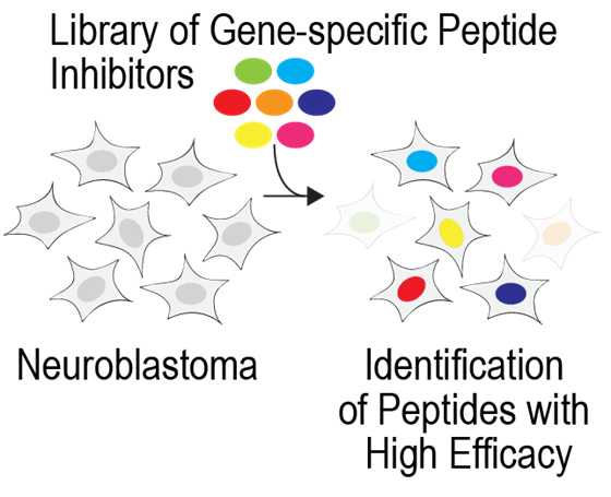 POC project (76 - Meitinger): figure 2