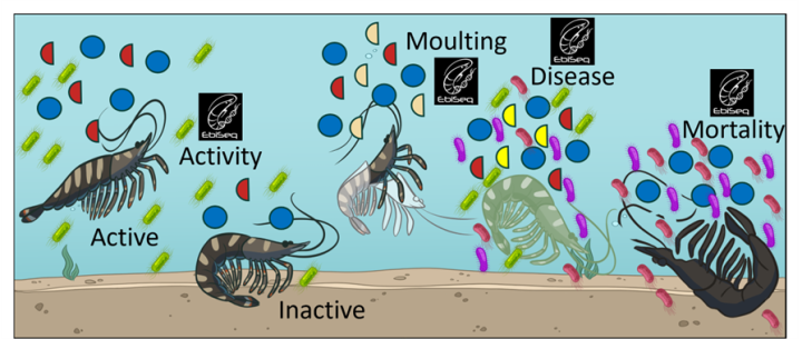 POC project (89 - Huerlimann): team photo