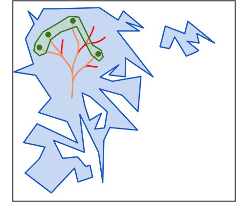 Gold and red lines stretch out to enter a green patch, centered inside a larger blue area on a large white box. The image presents a visual representation (not-to-scale) of possible protein sequence spaces.