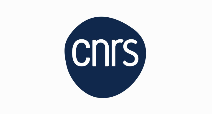 aps_logo_international_cnrs