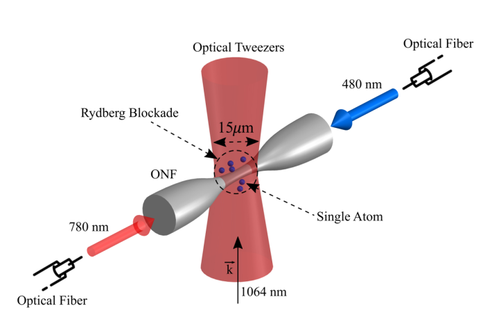 TPF (81 - Vylegzhanin): figure 1