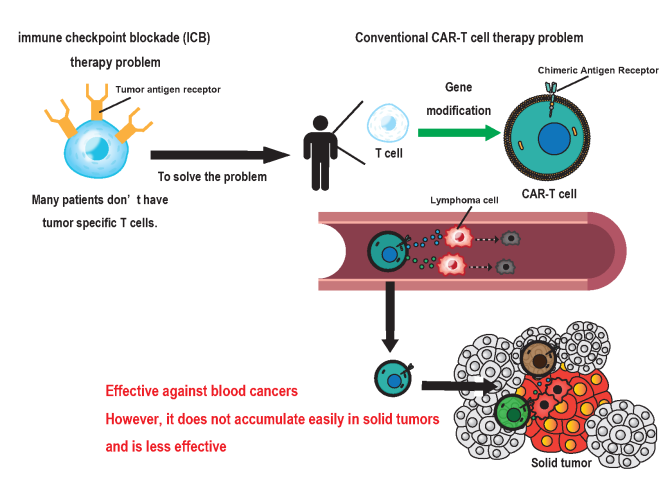 POC project (82-Taira): Figure 1