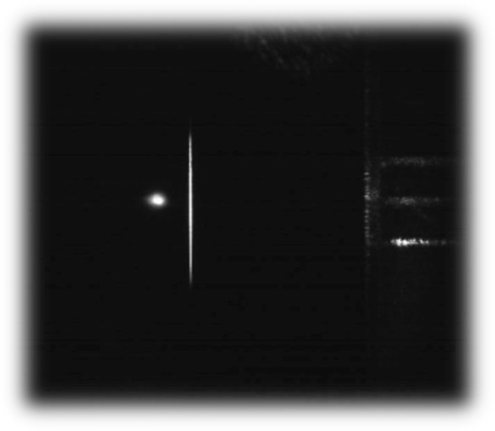 TPF (81 - Vylegzhanin): figure 2