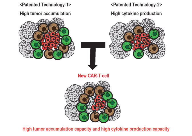 POC project (82-Taira): Figure 2